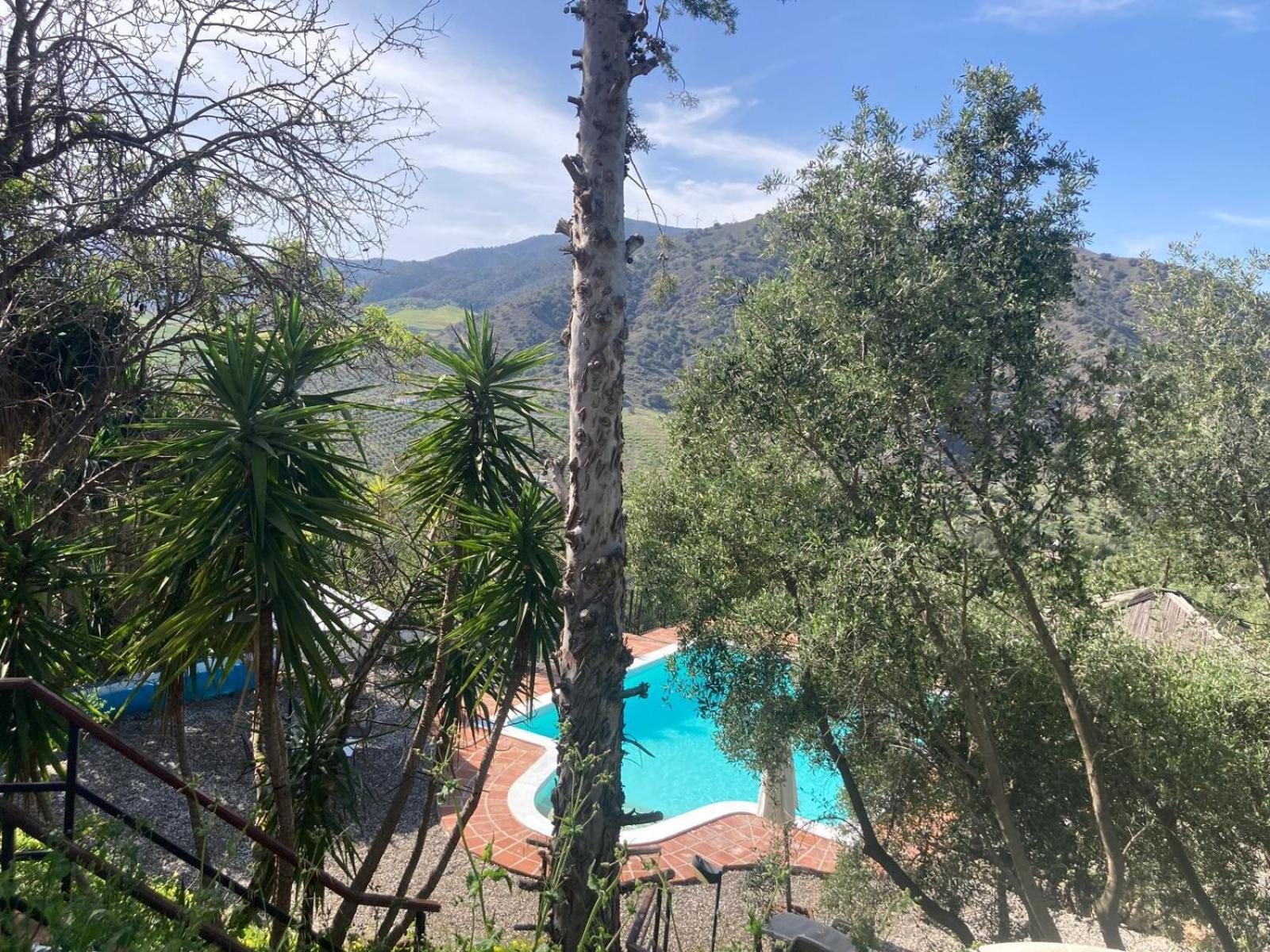 Casa Del Sueno Bed & Breakfast Alora Exterior photo